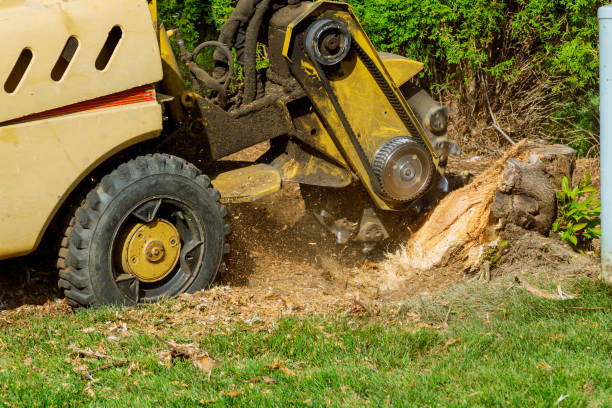 Lawn Irrigation Installation and Maintenance in Del Rey, CA