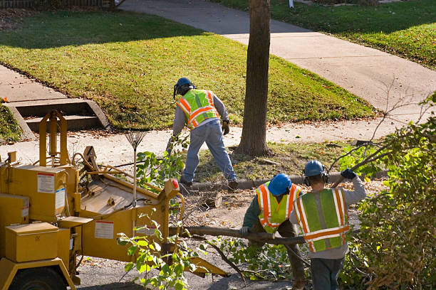 Best Lawn Pest Prevention  in Del Rey, CA